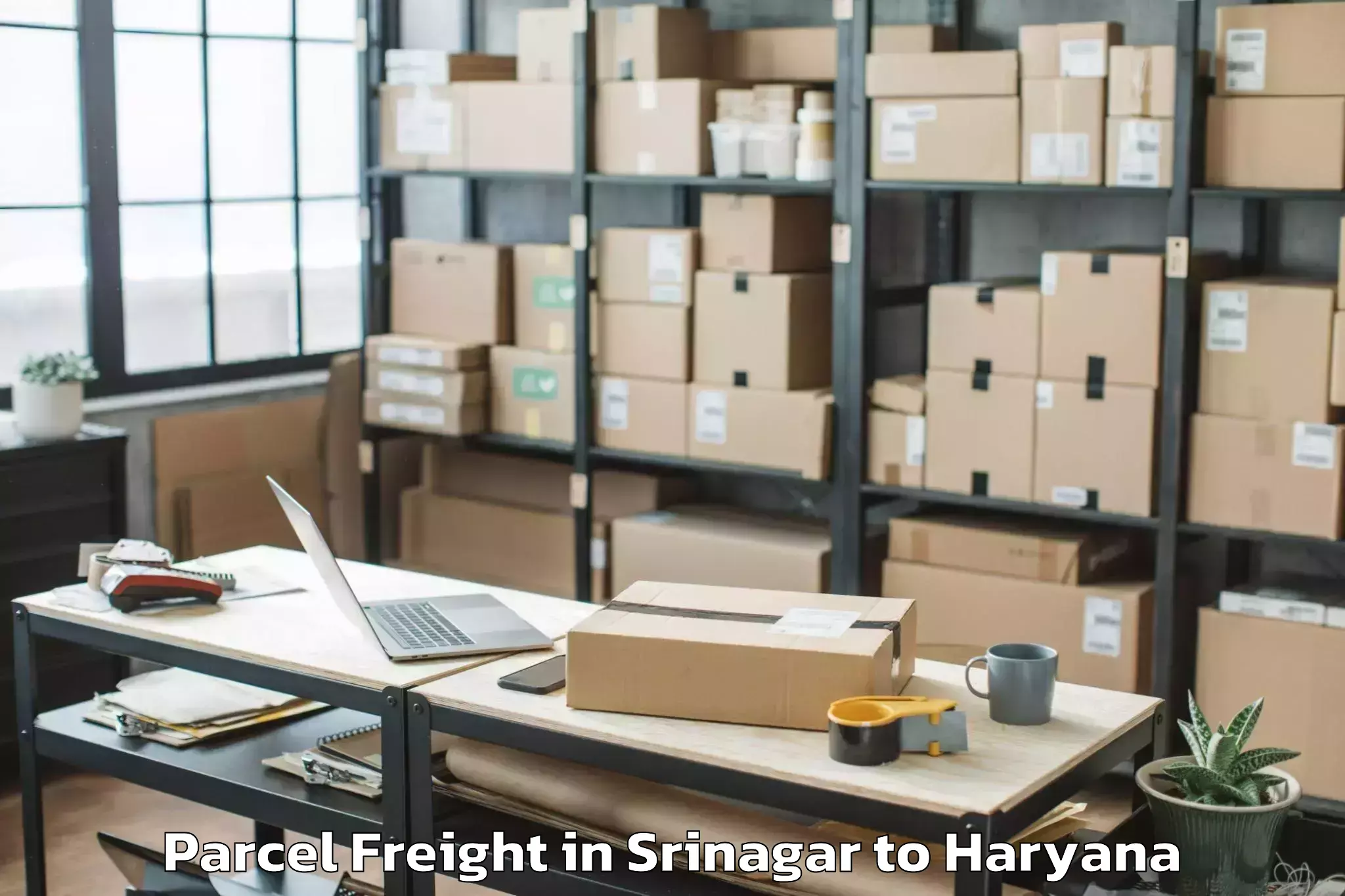 Leading Srinagar to Badhra Parcel Freight Provider